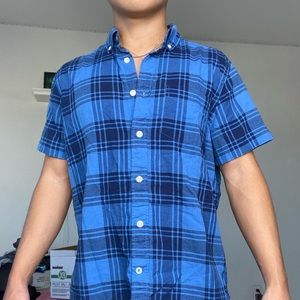 Blue Collared Shirt